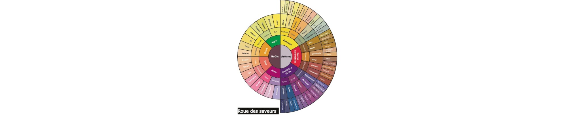 Cafetières filtres